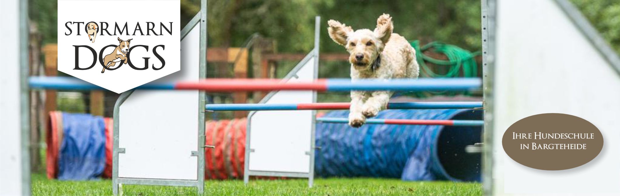 Hundeschule Stormarn Dogs - Agility - Pudel mit beigem Fell springt über Hürden